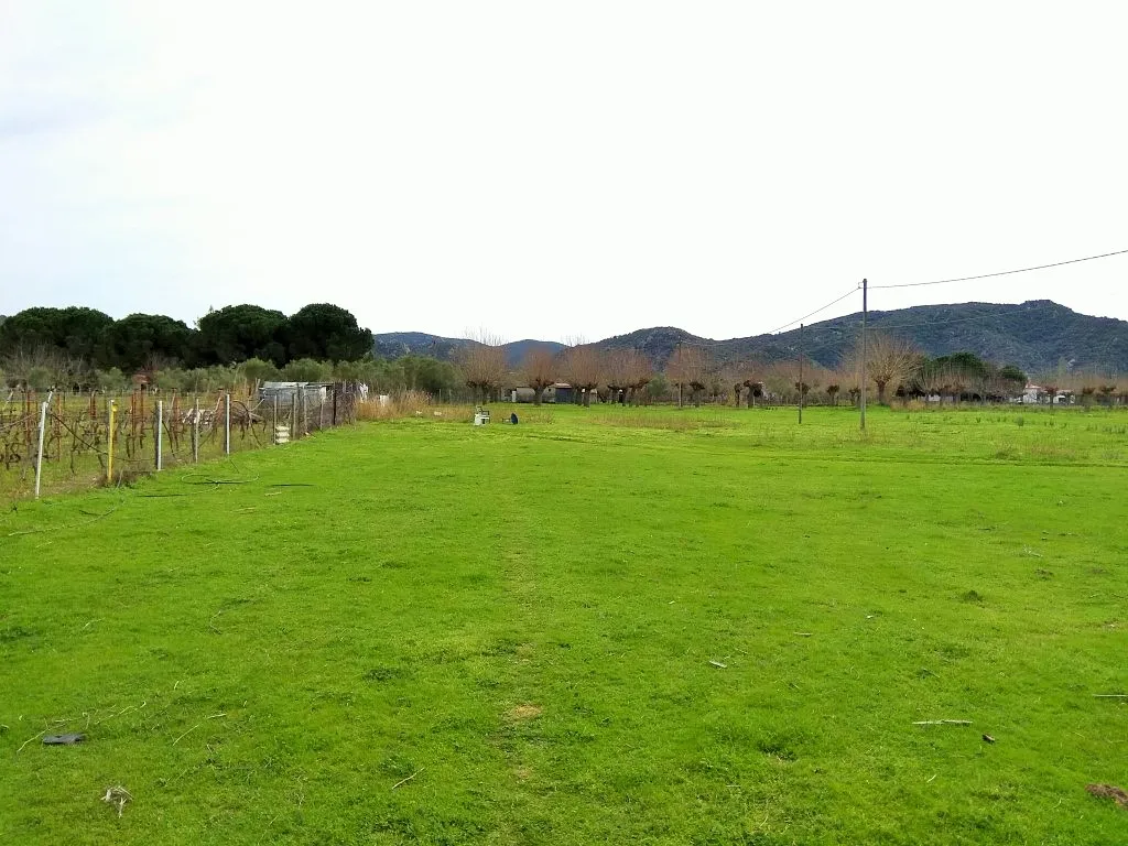 γη προς πώληση 2650 τ.μ Σιθωνία Χαλκιδική