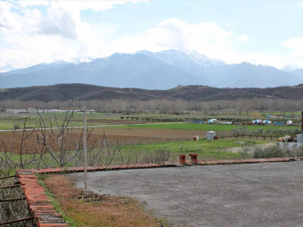 γη προς πώληση 870 τ.μ Κατερίνη Νομός Πιερίας