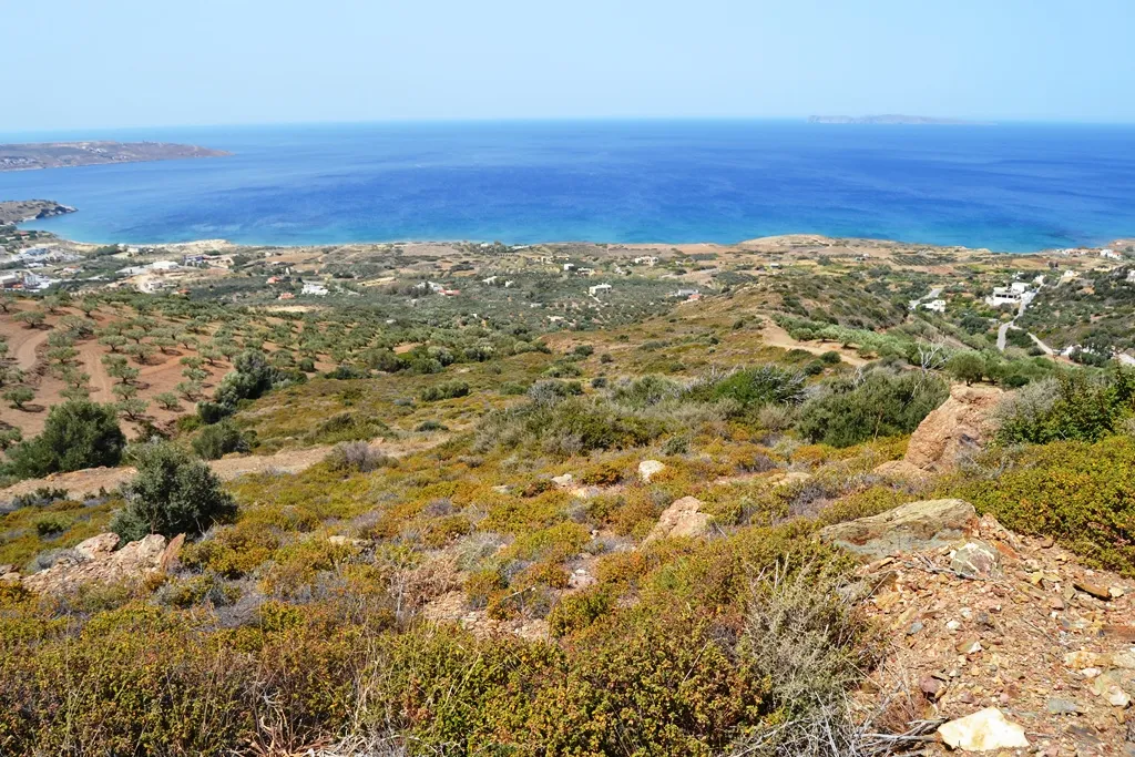 γη προς πώληση 9000 τ.μ Σητεία Νομός Λασιθίου