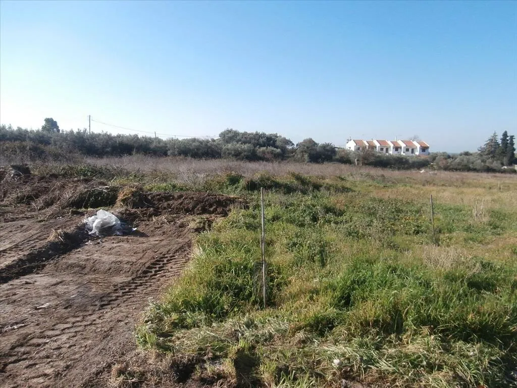 γη προς πώληση 2407 τ.μ Νέα Προποντίδα Χαλκιδική