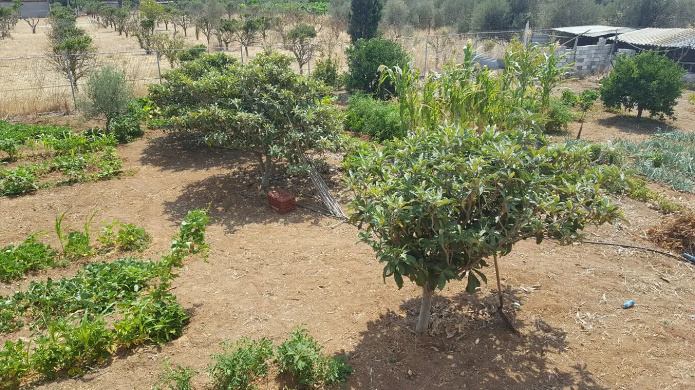 μεζονέτα προς πώληση 130 τ.μ Κόρινθος Κορινθία