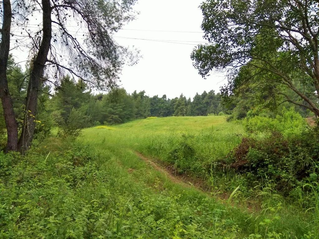 γη προς πώληση 28000 τ.μ Κασσάνδρα Χαλκιδική