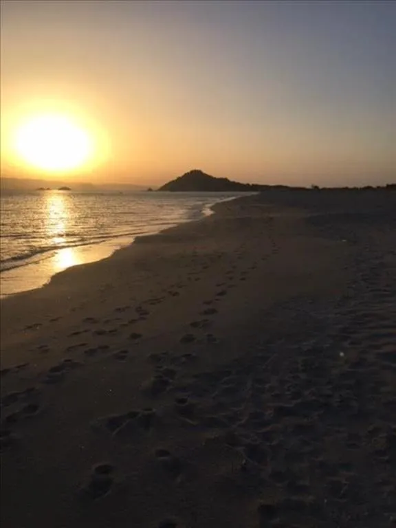 επιχείρηση προς πώληση 310 τ.μ  Κυκλάδες