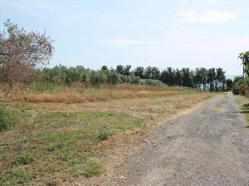 γη προς πώληση 5000 τ.μ Κολινδρός Νομός Πιερίας