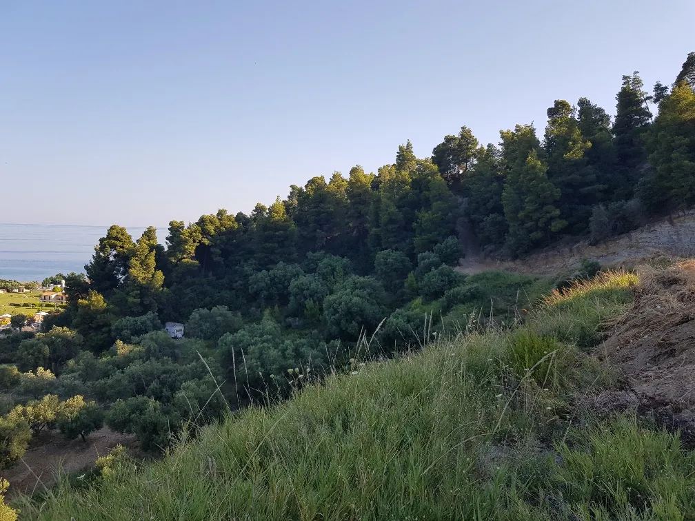 γη προς πώληση 4300 τ.μ Κασσάνδρα Χαλκιδική