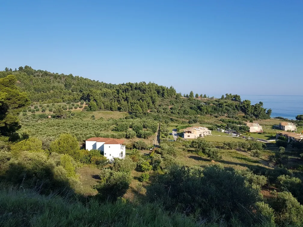 γη προς πώληση 4300 τ.μ Κασσάνδρα Χαλκιδική