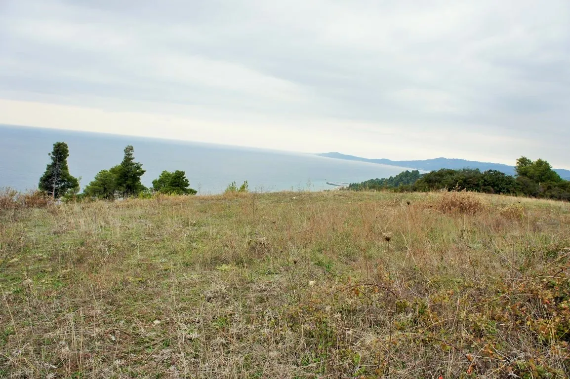 γη προς πώληση 55000 τ.μ Κασσάνδρα Χαλκιδική