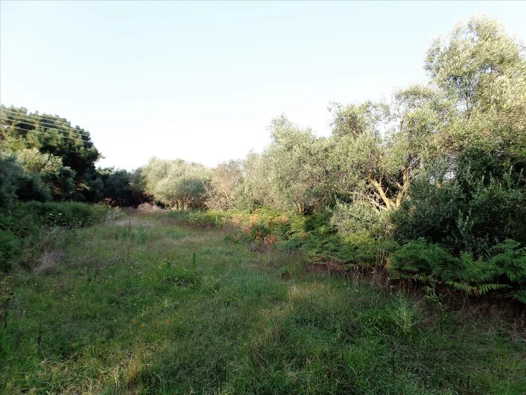 γη προς πώληση 6409 τ.μ Κέρκυρα Νομός Κέρκυρας