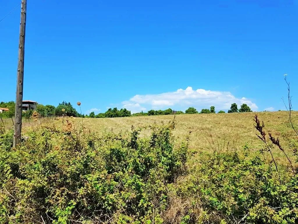 γη προς πώληση 8000 τ.μ Κασσάνδρα Χαλκιδική