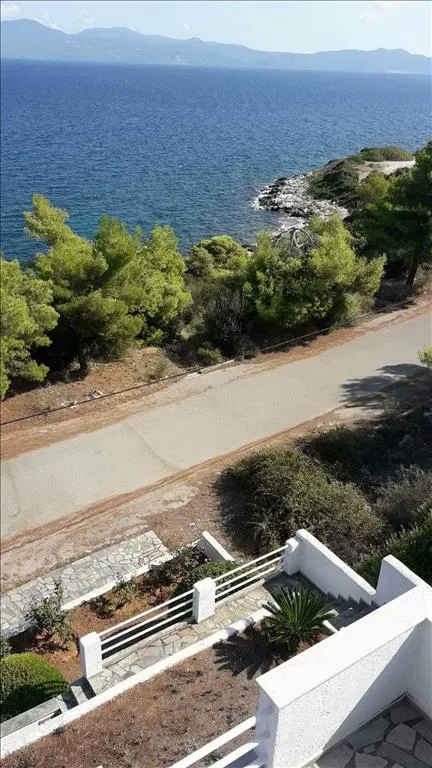 μονοκατοικία προς πώληση 260 τ.μ  Φθιώτιδα