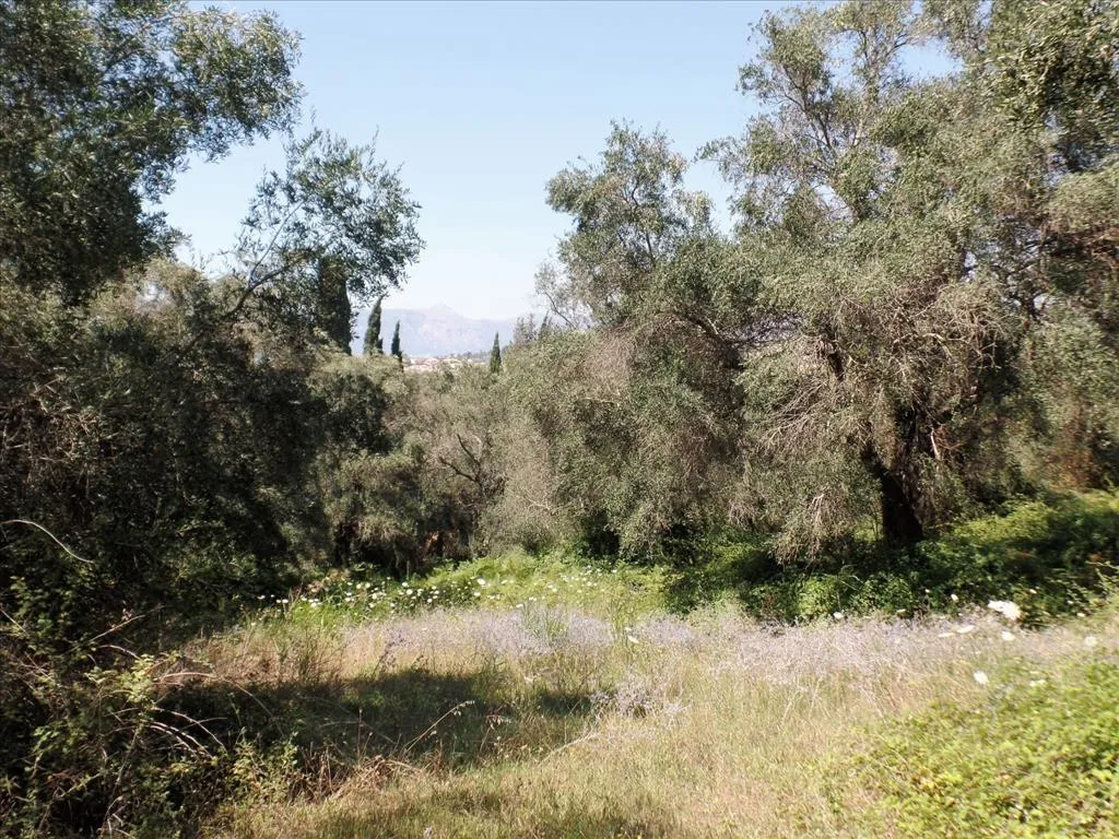 γη προς πώληση 2750 τ.μ Κέρκυρα Νομός Κέρκυρας