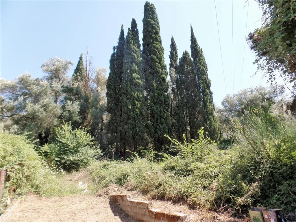 γη προς πώληση 2288 τ.μ Κέρκυρα Νομός Κέρκυρας