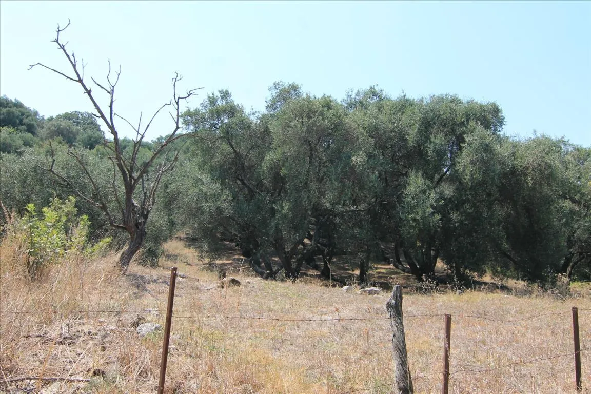 γη προς πώληση 4000 τ.μ Κέρκυρα Νομός Κέρκυρας