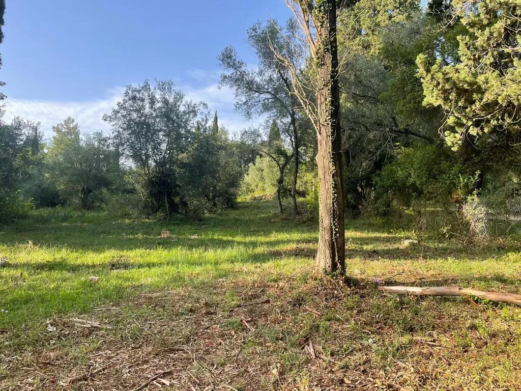 γη προς πώληση 3321 τ.μ Κέρκυρα Νομός Κέρκυρας