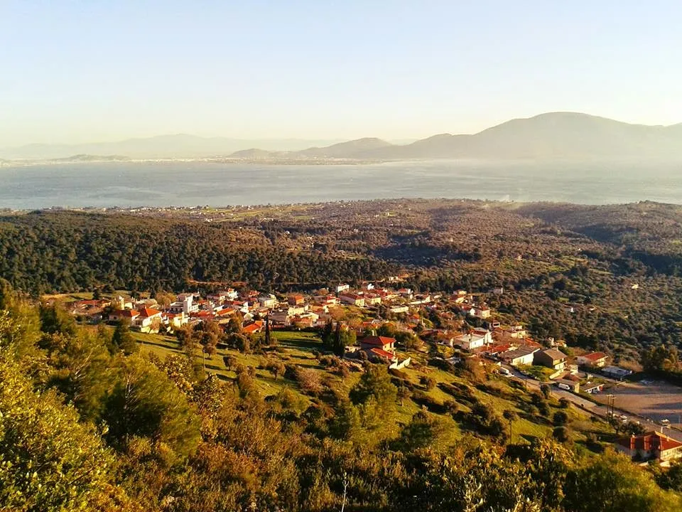 γη προς πώληση 7500 τ.μ  Εύβοια