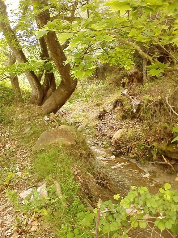 γη προς πώληση 4500 τ.μ Θάσος Νομός Καβάλας