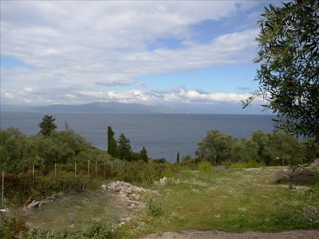 γη προς πώληση 7000 τ.μ Παξοί Νομός Κέρκυρας