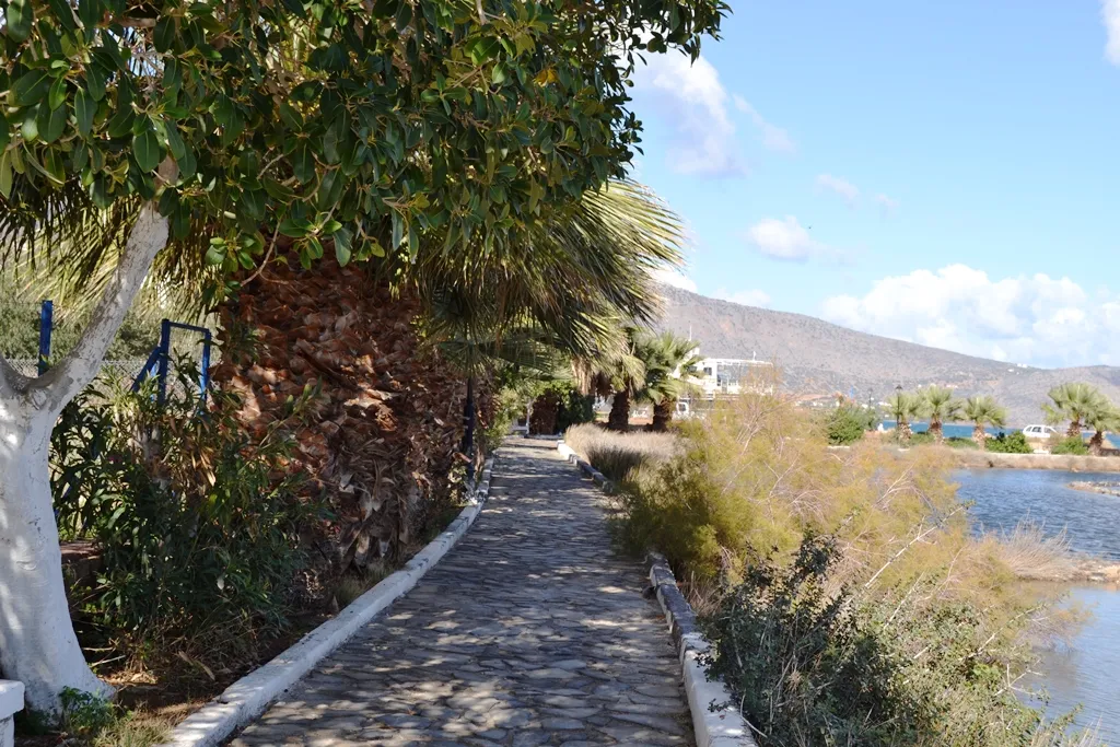 γη προς πώληση 295 τ.μ Ελούντα Νομός Λασιθίου