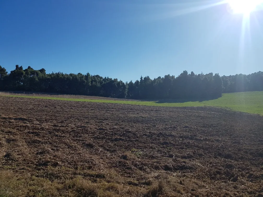 γη προς πώληση 9500 τ.μ Κασσάνδρα Χαλκιδική