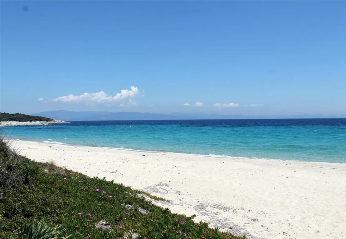 γη προς πώληση 1360 τ.μ Κασσάνδρα Χαλκιδική