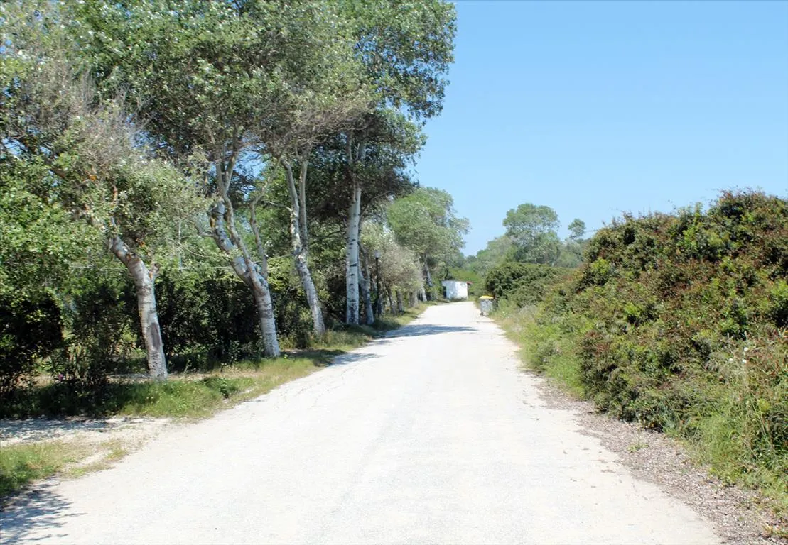 γη προς πώληση 1360 τ.μ Κασσάνδρα Χαλκιδική