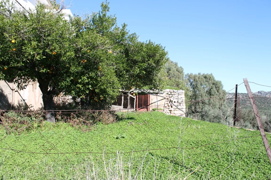 μεζονέτα προς πώληση 180 τ.μ Άγιος Νικόλαος Νομός Λασιθίου