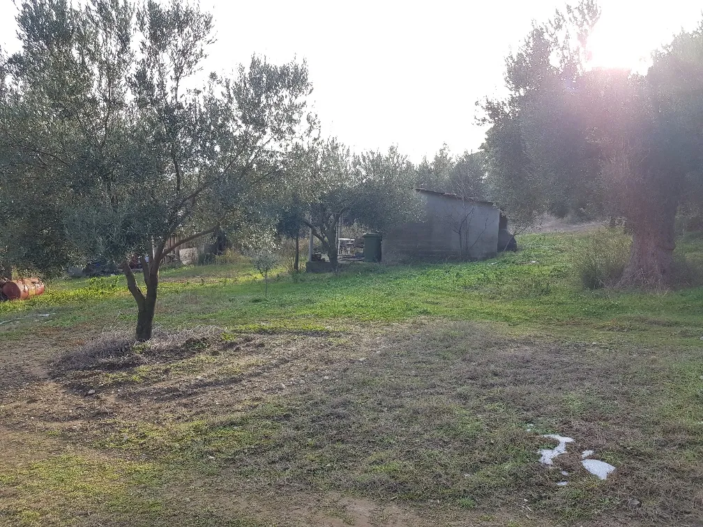 γη προς πώληση 4000 τ.μ Κασσάνδρα Χαλκιδική