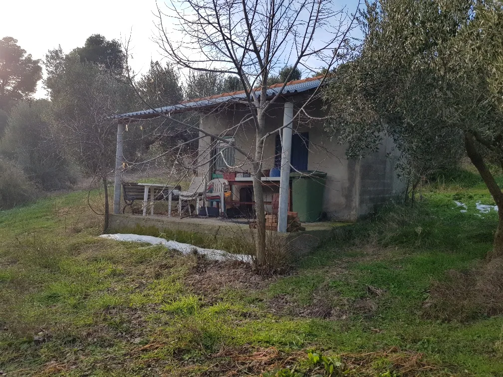 γη προς πώληση 4000 τ.μ Κασσάνδρα Χαλκιδική