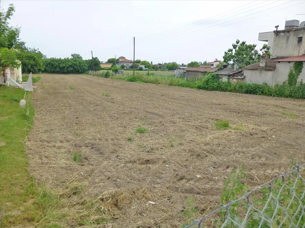 γη προς πώληση  τ.μ  Νομός Πιερίας