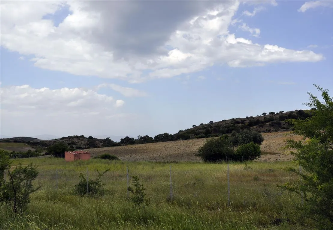 γη προς πώληση 4000 τ.μ Σιθωνία Χαλκιδική