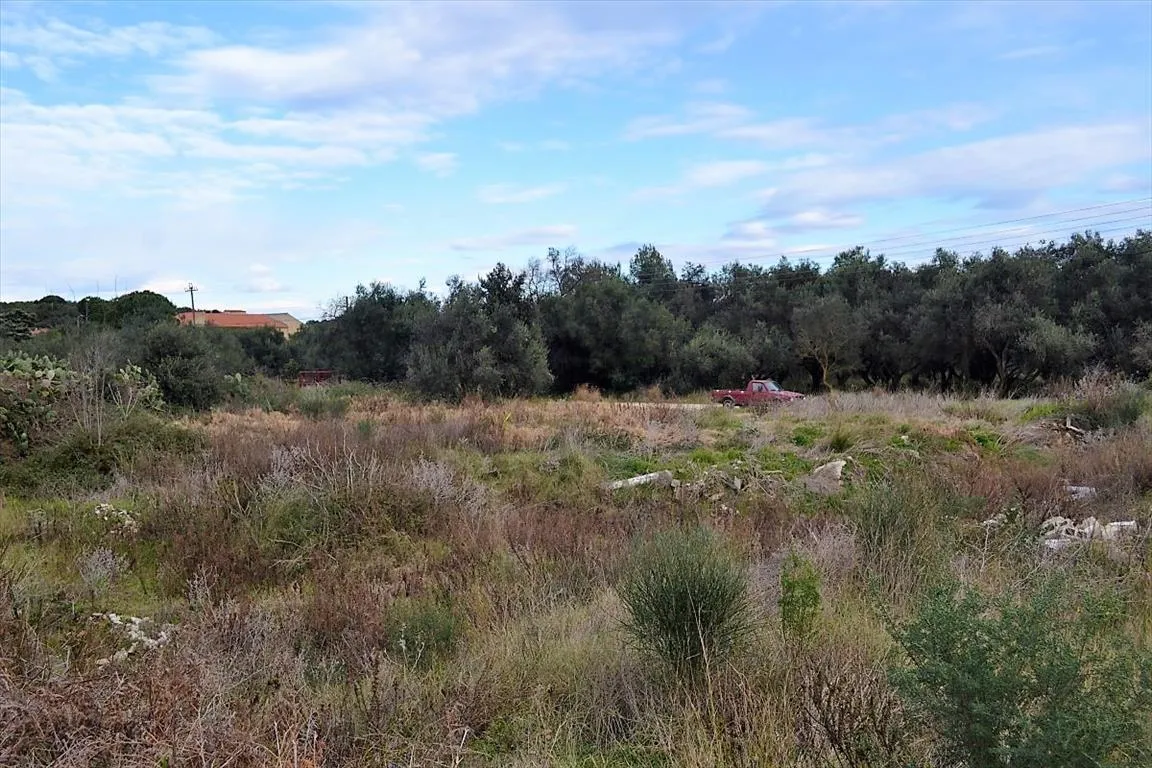 γη προς πώληση 5500 τ.μ Κέρκυρα Νομός Κέρκυρας