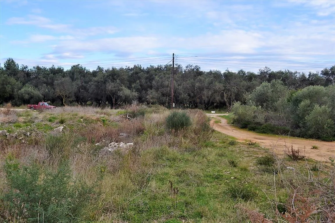 γη προς πώληση 5500 τ.μ Κέρκυρα Νομός Κέρκυρας