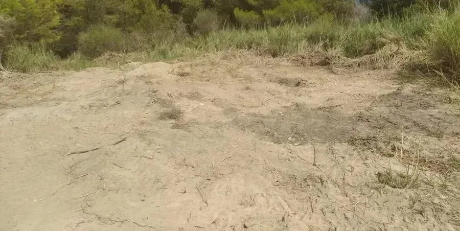 γη προς πώληση 4500 τ.μ Κασσάνδρα Χαλκιδική