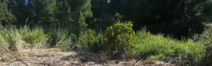 γη προς πώληση 4500 τ.μ Κασσάνδρα Χαλκιδική