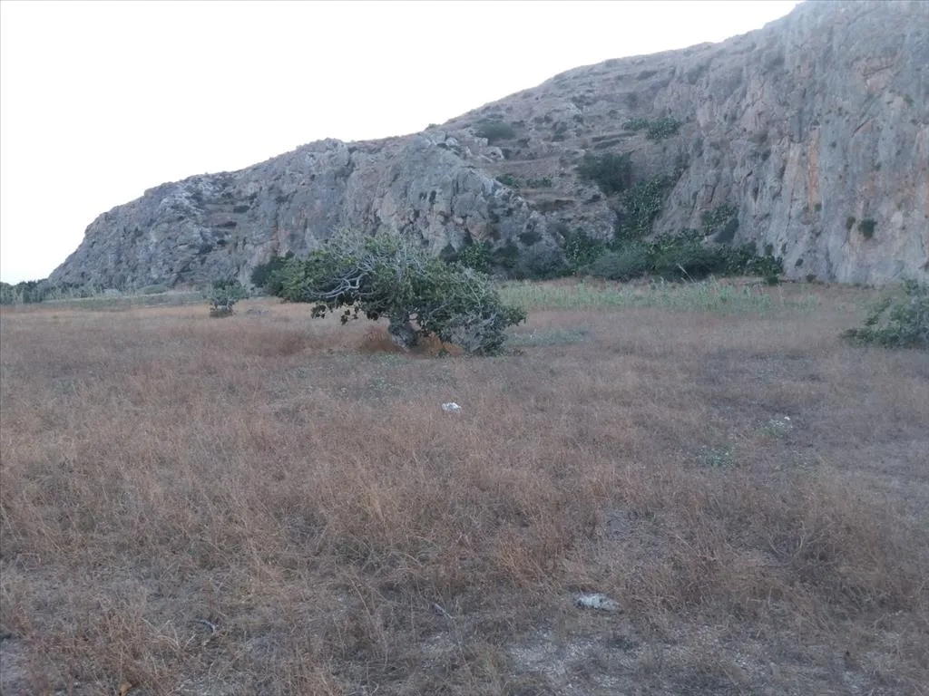 γη προς πώληση 5000 τ.μ Σαντορίνη Κυκλάδες