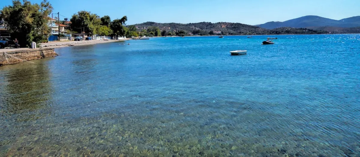 γη προς πώληση 64000 τ.μ Αιδηψός Εύβοια