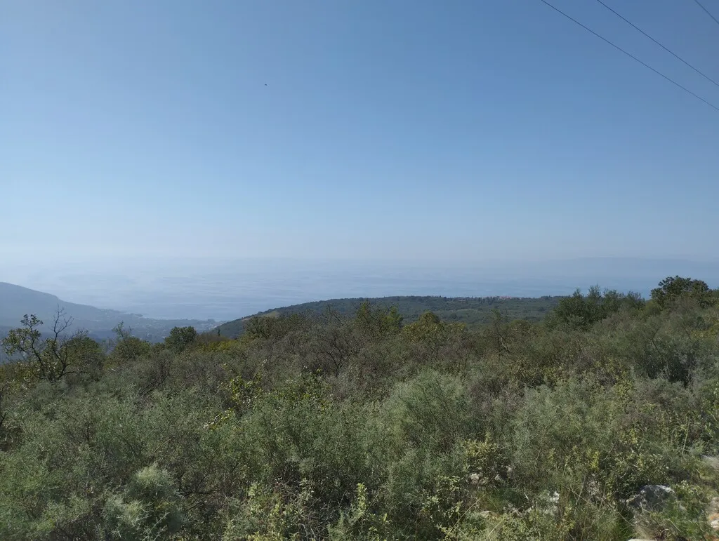 γη προς πώληση 9200 τ.μ Λεύκτρο Μεσσηνία