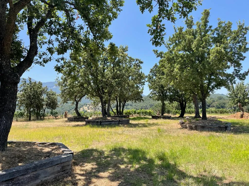 γη προς πώληση 26159 τ.μ Κέρκυρα Νομός Κέρκυρας