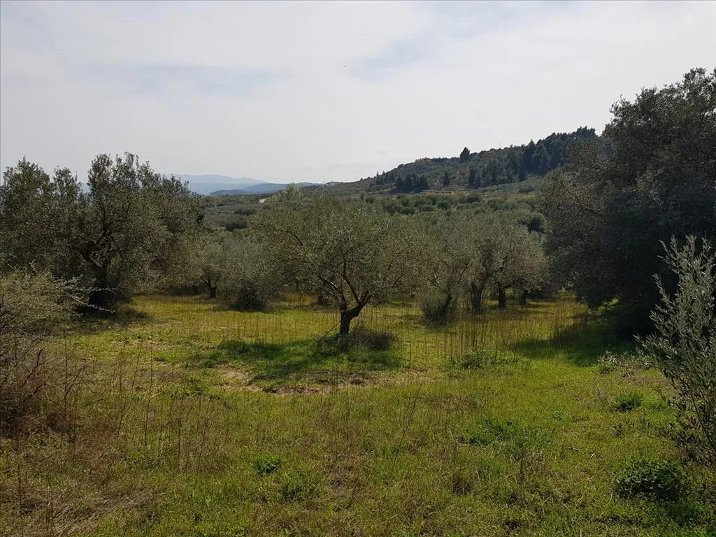 γη προς πώληση 1800 τ.μ Σιθωνία Χαλκιδική