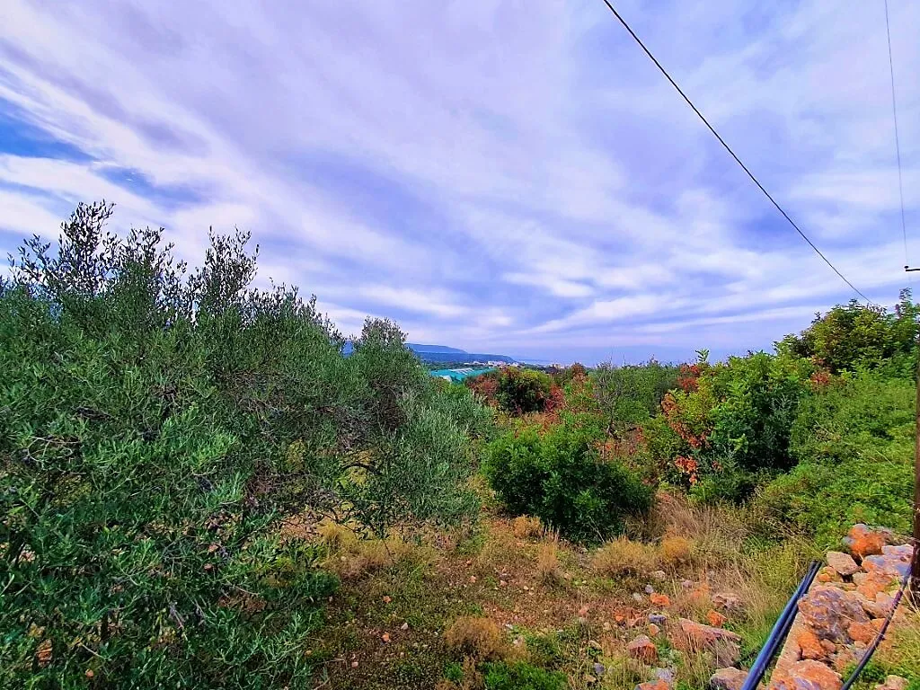 γη προς πώληση 2375 τ.μ Βραχάσι Νομός Λασιθίου