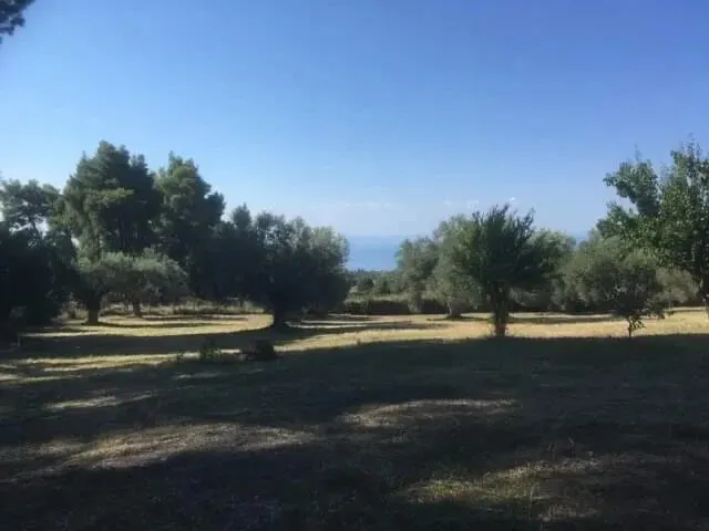 γη προς πώληση 8687 τ.μ Κασσάνδρα Χαλκιδική