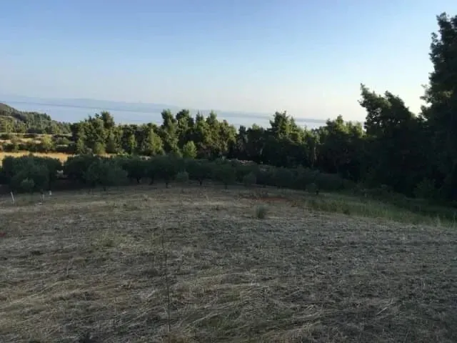 γη προς πώληση 8687 τ.μ Κασσάνδρα Χαλκιδική