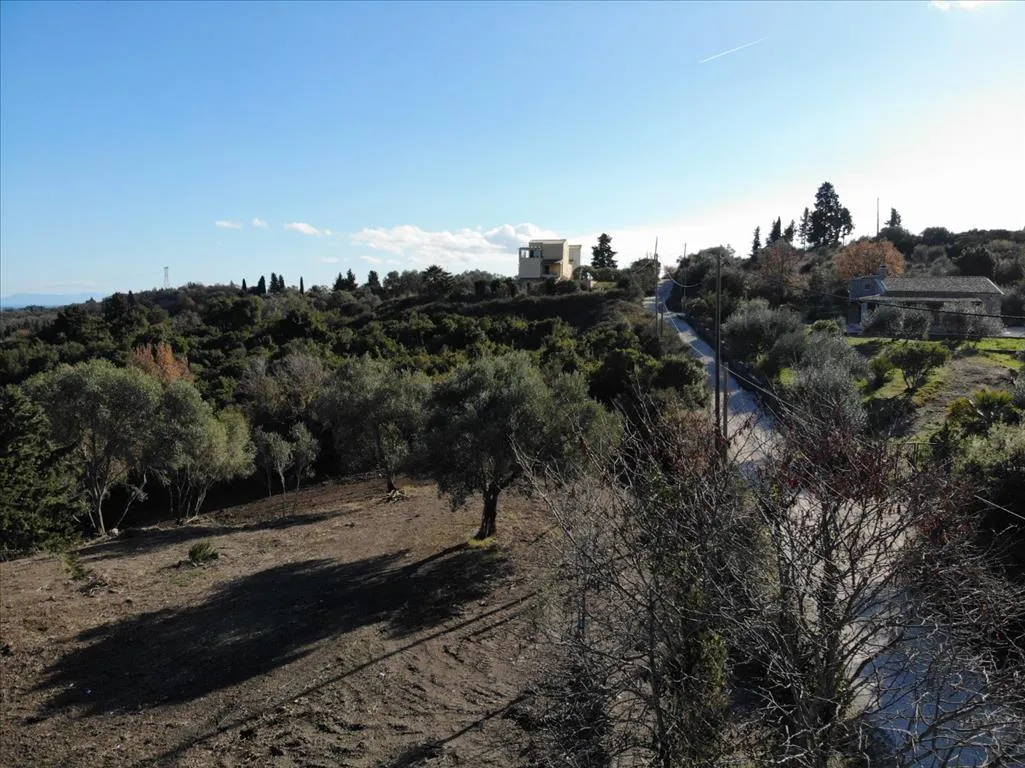 γη προς πώληση 5000 τ.μ Κέρκυρα Νομός Κέρκυρας