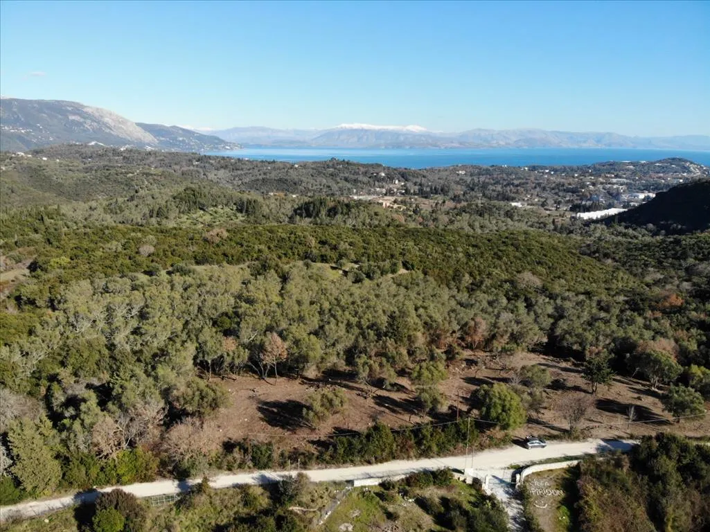 γη προς πώληση 5000 τ.μ Κέρκυρα Νομός Κέρκυρας