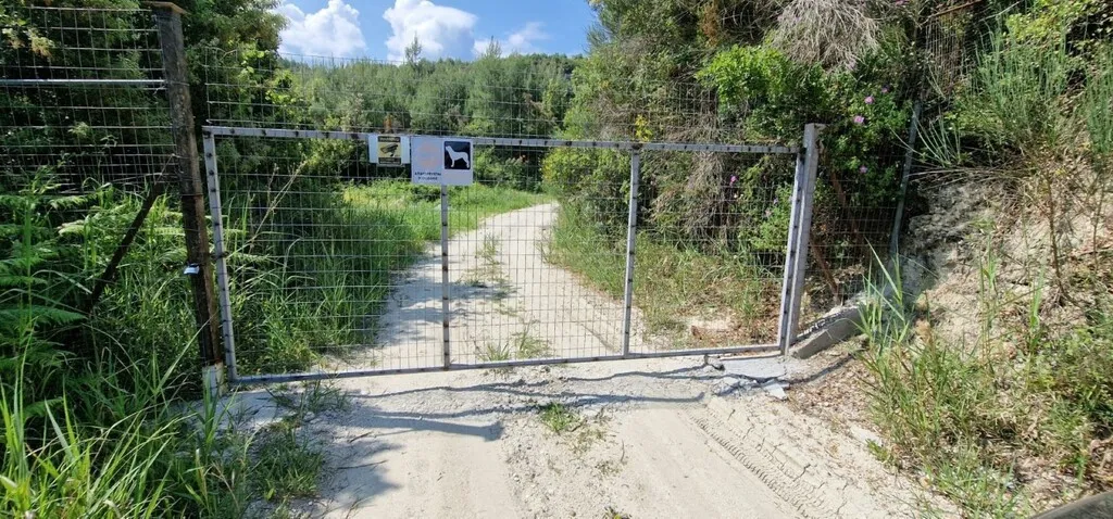 γη προς πώληση 10000 τ.μ Κασσάνδρα Χαλκιδική