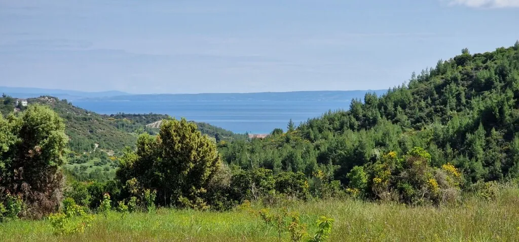 γη προς πώληση 10000 τ.μ Κασσάνδρα Χαλκιδική