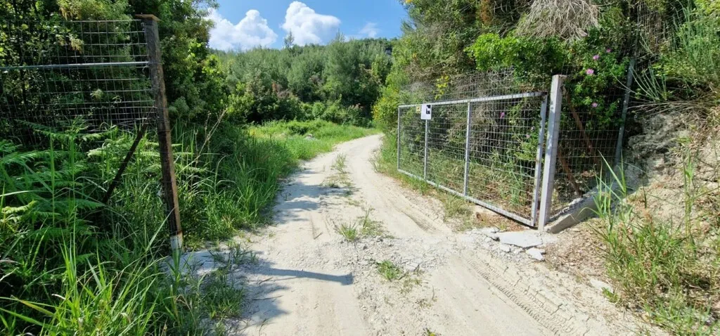 γη προς πώληση 10000 τ.μ Κασσάνδρα Χαλκιδική