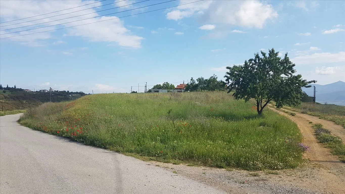 γη προς πώληση 1650 τ.μ Εγνατία Υπόλοιπο Νομού Θεσσαλονίκης