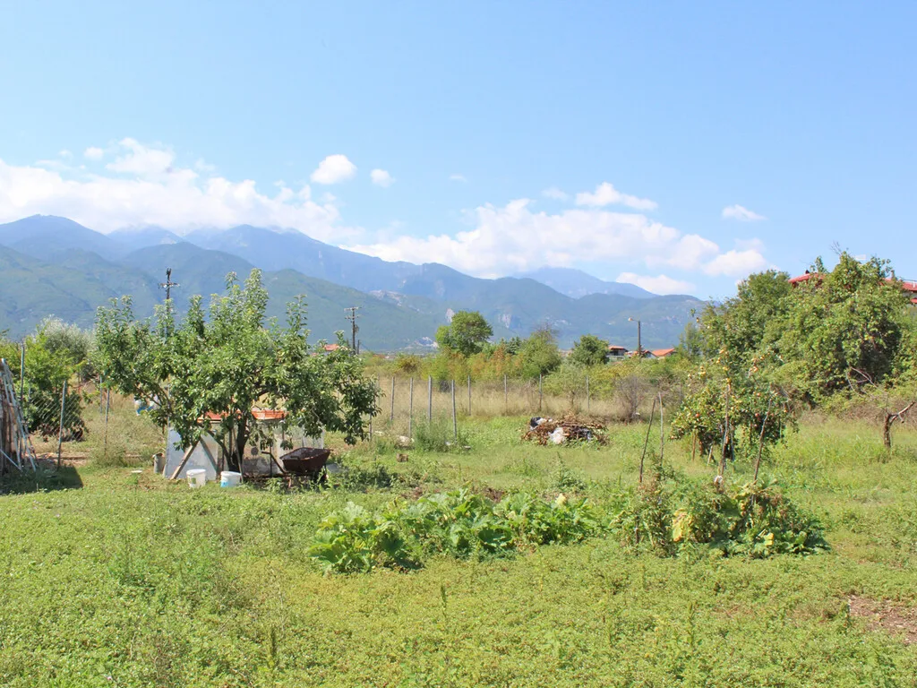 γη προς πώληση 301 τ.μ Ανατολικός Όλυμπος Νομός Πιερίας