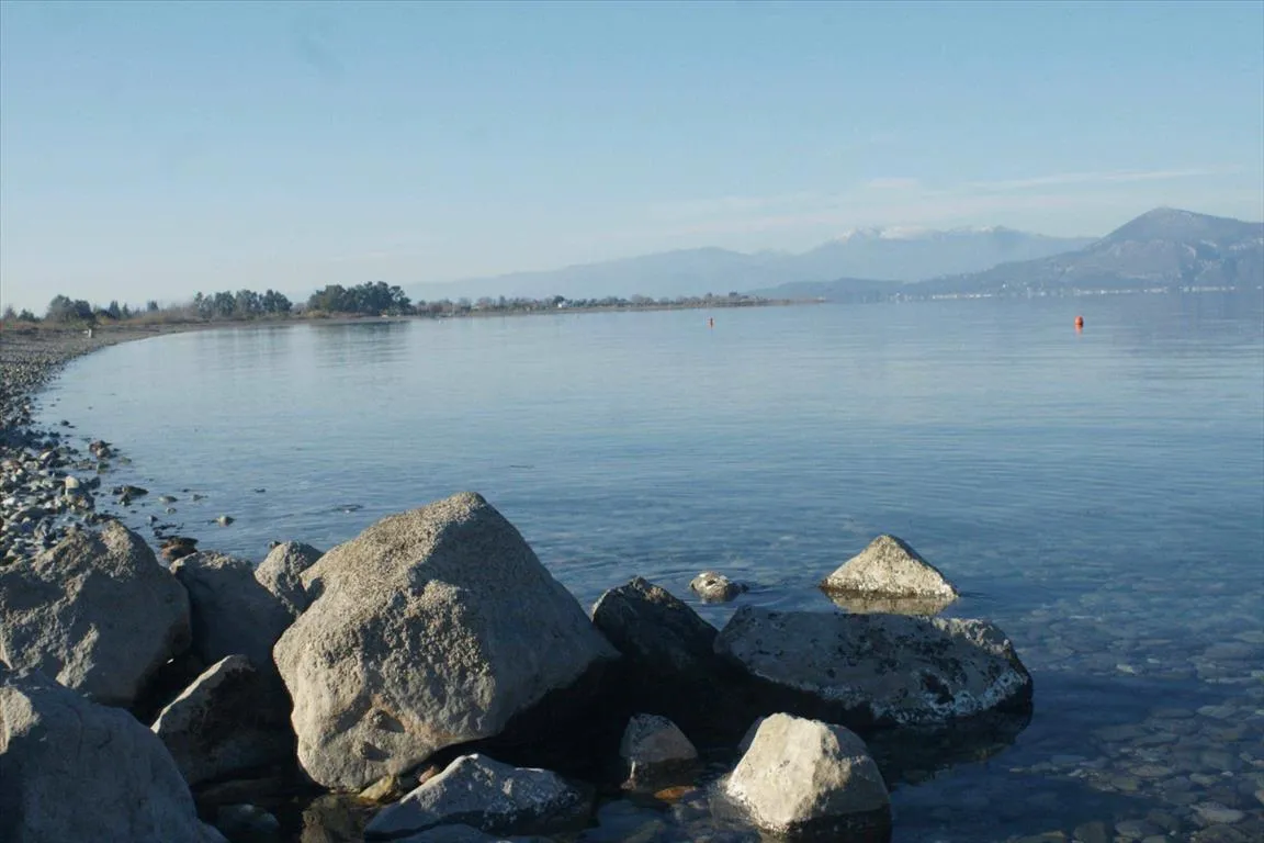 γη προς πώληση 30000 τ.μ Δαφνούσες Φθιώτιδα